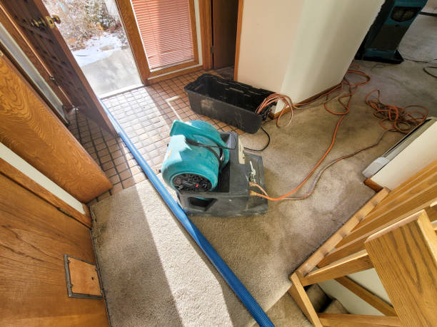 Trusted East Uniontown, PA Water damage restoration Experts