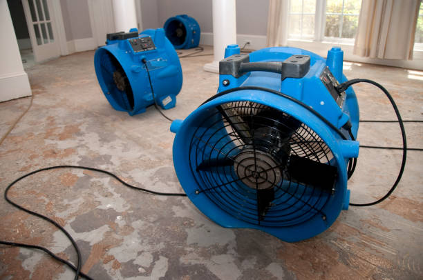 Best Flood restoration services  in East Uniontown, PA