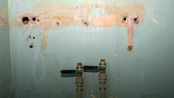 Carpet water damage restoration in East Uniontown, PA